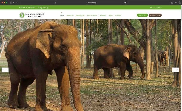 Ghekko Website Design: Somboon Legacy Foundation